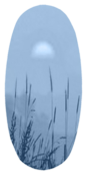 DASOV 334 BL Harvest Sunrise Blue